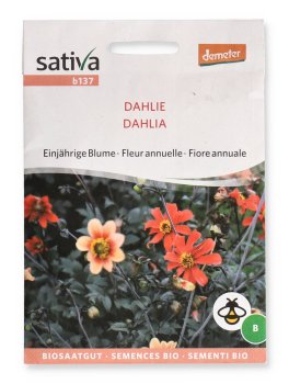 Fiore Annuale Dahlia - Fiore Annuale - 1