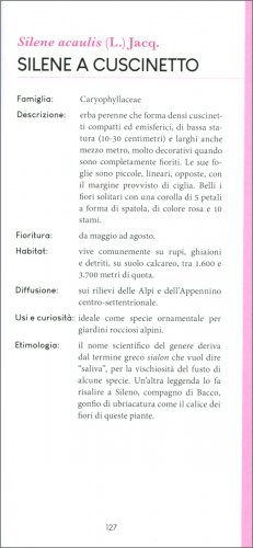 Fiori Alpini — Libro - 4