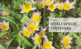 Fiori Bio — Libro - 3
