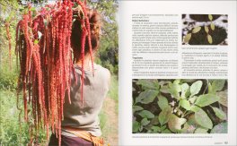 Fiori Bio — Libro - 4