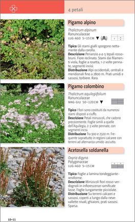 Fiori delle Alpi — Libro - 3