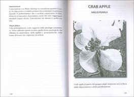 Fiori di Bach — Libro - 3