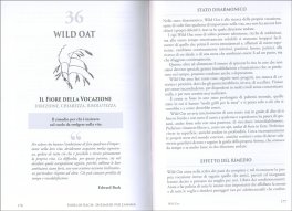 Fiori di Bach - 38 Rimedi per l'Anima — Libro - 3