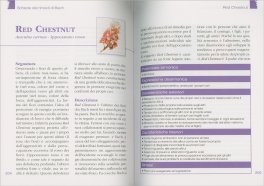 Fiori di Bach - Il Manuale Completo — Libro - 3