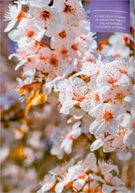 Fiori di Bach - Il Manuale Completo — Libro - 4