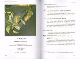 Fiori di Bach - Le Nuove Scoperte — Libro - 3