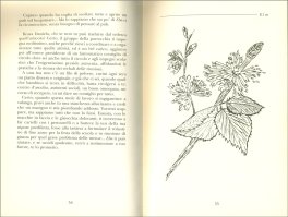 Fiori di Bach nel Cuore — Libro - 3