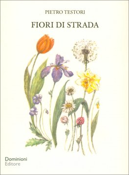 Fiori di Strada — Libro - 1