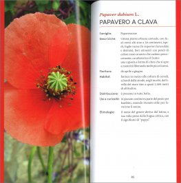 Fiori Italiani — Libro - 3