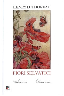 Fiori Selvatici — Libro - 1