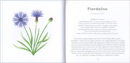 Fiori Selvatici — Libro - 4