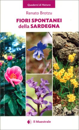 Fiori Spontanei della Sardegna — Libro - 1