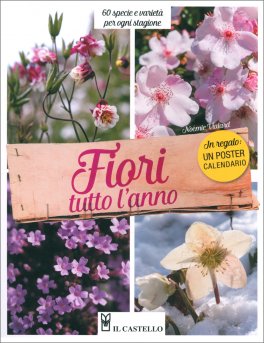 Fiori tutto l'Anno — Libro - 1