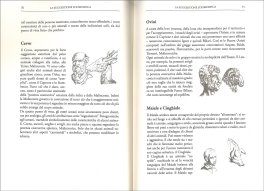 Fisiognomica e Rimedi — Libro - 2