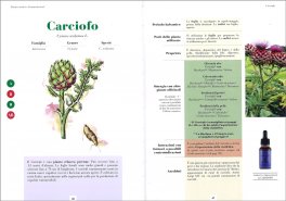 Fitoterapia per i Gruppi Sanguigni — Libro - 3