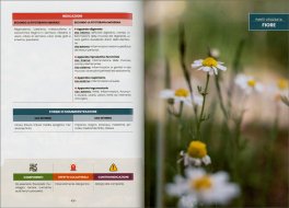 Fitoterapia Umorale - 100 Erbe della Salute — Libro - 4