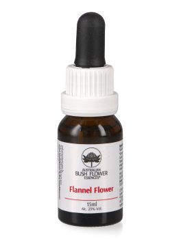 Flannel Flower - Essenza Floreale Australiana Singola - 1