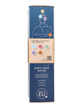 Flaska Energy Flow Abundance - 5