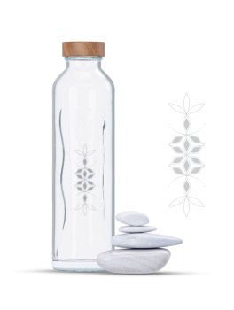 Flaska Energy Flow Balance - 1