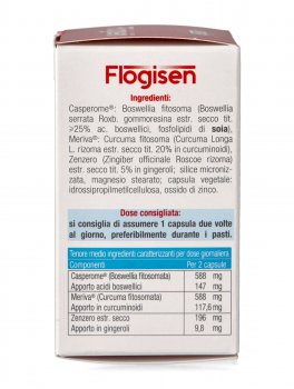 Flogisen - 4