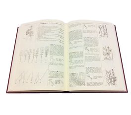 Flora d'Italia - 3 volumi — Libro - 7