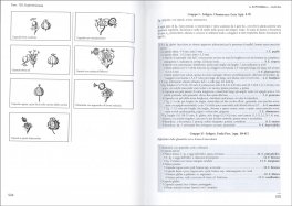 Flora d'Italia - Vol. 4 — Libro - 3