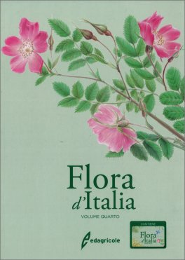 Flora d'Italia - Vol. 4 — Libro - 1
