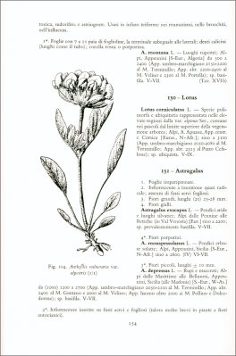 Flora delle Alpi — Libro - 2