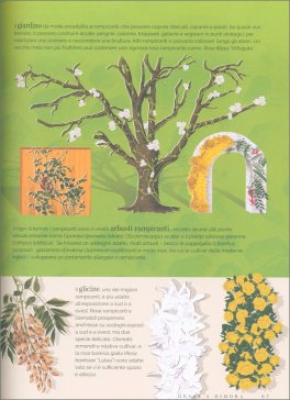 Flora - Guida Infografica al Giardinaggio — Libro - 4