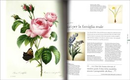 Flora - Le Piante Viste da Vicino — Libro - 3