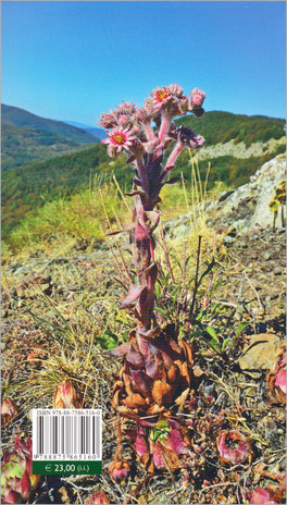 Flora Spontanea dell'Appennino Tosco-romagnolo — Libro - 2