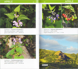 Flora Spontanea dell'Appennino Tosco-romagnolo — Libro - 3