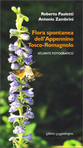Flora Spontanea dell'Appennino Tosco-romagnolo — Libro - 1
