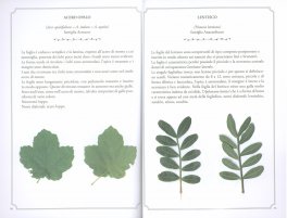 Flora Toscana  — Libro - 3