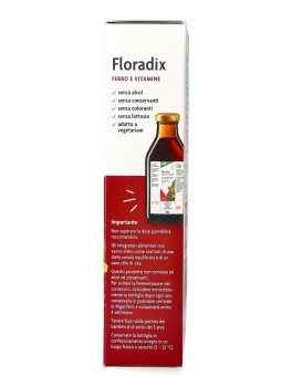Floradix® - Linfa d'Erbe Ricca di Ferro - 4