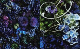Florilegio — Libro - 3