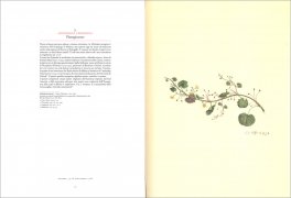 Florilegium — Libro - 3