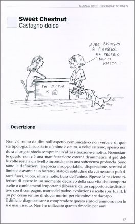 Floriterapia al Femminile — Libro - 2