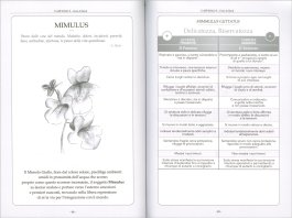 Floriterapia Tao — Libro - 4