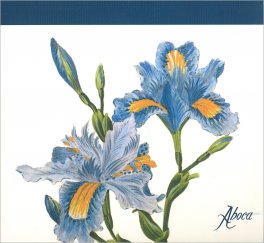 Flower Desk - Blocco di Carta - Iris Blu — Diari e Journaling - 1