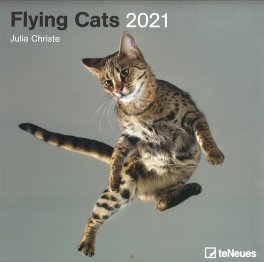 Flying Cats - 2021