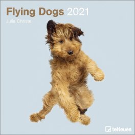 Flying Dogs - 2021