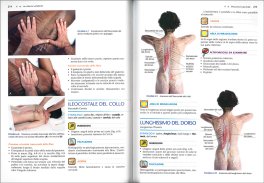 Fondamenti Clinici della Massoterapia — Libro - 3