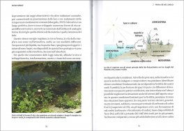 Food Forest — Libro - 3