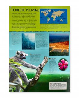 Foresta Pluviale - Giovani Esploratori — Libro - 2