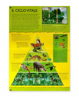 Foresta Pluviale - Giovani Esploratori — Libro - 3