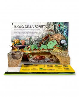 Foresta Pluviale - Giovani Esploratori — Libro - 4