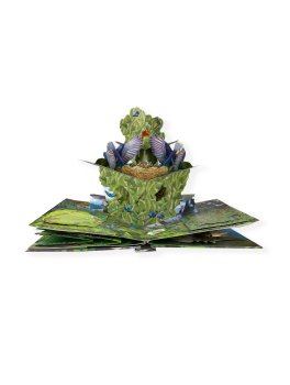 Foreste Tropicali Pop Up XXL — Libro - 2