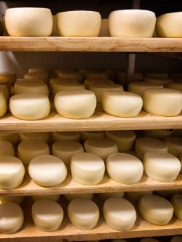 Fustella per Caciotta - 6