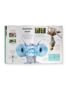 Forme della Natura — Libro - 3